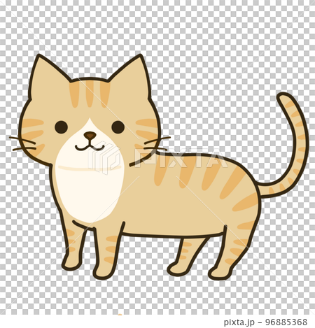 一隻簡單的棕色虎斑貓站立 一隻簡單的棕色虎斑貓站立 96885368