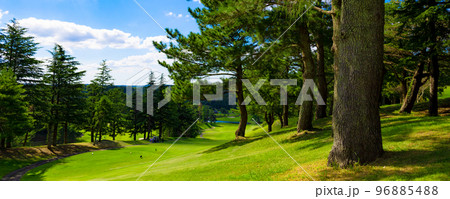 青空のゴルフ場・モミの木と松の木で和風な右ドッグの美しいゴルフコースのパノラマ（千葉県木更津市） 96885488