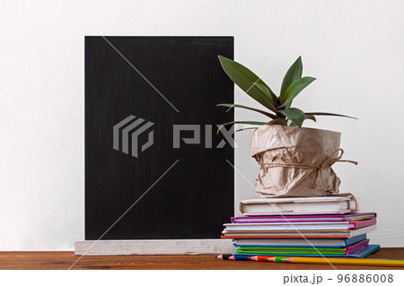 Books stack, pencils with green home plant in a pot wrapped in brown kraft paper on white background. Distance education Books stack, pencils with green home plant in a pot wrapped in brown kraft paper on white background. Distance education 96886008