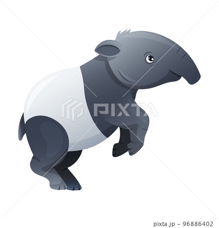 Cute Malayan Tapir Standing on Hind Legs as Asian Animal with White Patch and Short Nose Trunk Vector Illustration Cute Malayan Tapir Standing on Hind Legs as Asian Animal with White Patch and Short Nose Trunk Vector Illustration 96886402