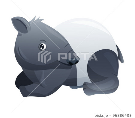 Cute Malayan Tapir Sitting as Asian Animal with White Patch and Short Nose Trunk Vector Illustration Cute Malayan Tapir Sitting as Asian Animal with White Patch and Short Nose Trunk Vector Illustration 96886403