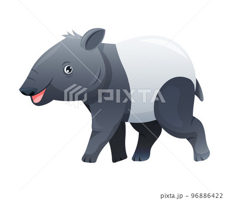 Cute Malayan Tapir Walking as Asian Animal with White Patch and Short Nose Trunk Vector Illustration 96886422