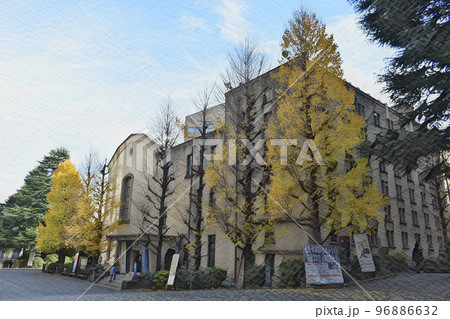 早稲田大学　會津八一記念博物館 96886632
