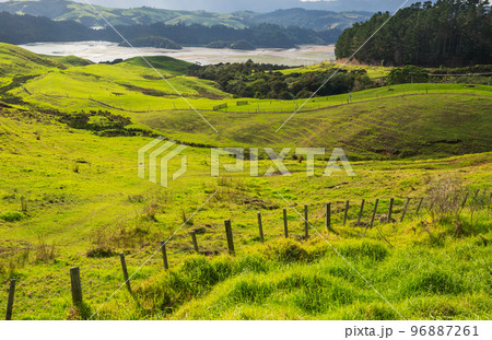 New Zealand hills New Zealand hills 96887261