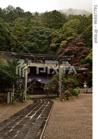 高座神社の紅葉 96887791