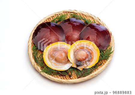 開いた生のツキヒガイ 96889883