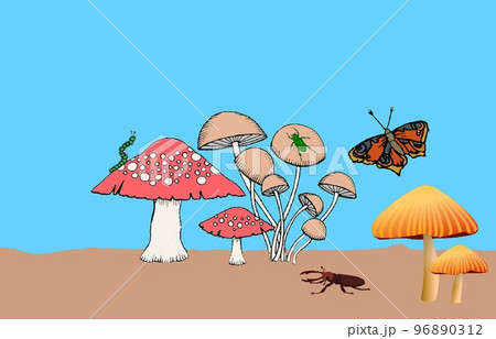 mushrooms on the ground mushrooms on the ground 96890312