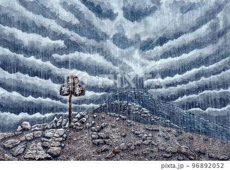 南アルプスの夏　雨の聖岳山頂 96892052