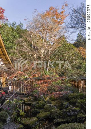 晩秋の京都大原 宝泉院「鶴亀庭園」 晩秋の京都大原 宝泉院「鶴亀庭園」 96892578