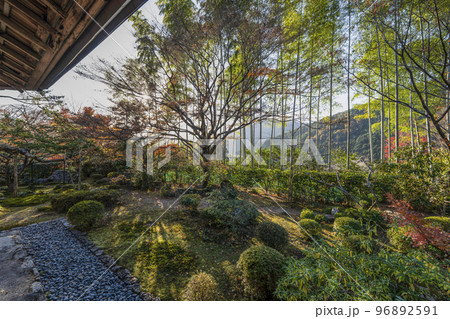 晩秋の京都大原　宝泉院 96892591