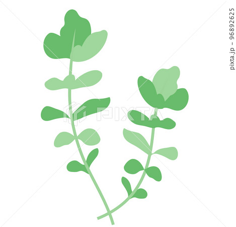 春の七草のひとつ、ナズナ 96892625