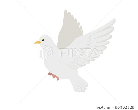 アクリル画 花と白い鳩のモチーフ アクリル画 花と白い鳩のモチーフ 絵のモチーフで探す | きいろの