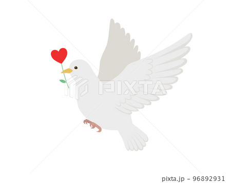 ハートの花と白い鳩 96892931