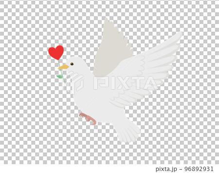 心花和白鴿 96892931