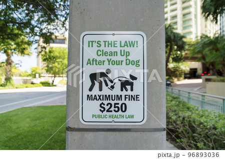 Sign on a concrete post outside with Clean Up After Your Dog Maximum Fine 250 at Miami, Florida Sign on a concrete post outside with Clean Up After Your Dog Maximum Fine 250 at Miami, Florida 96893036