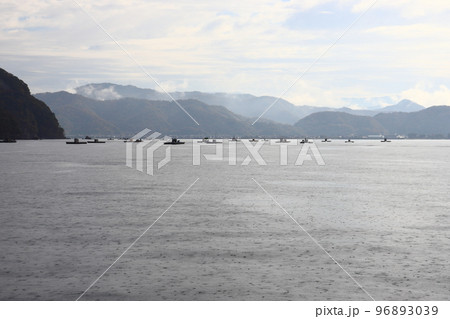 小浜湾 松ヶ崎の筏釣り 96893039