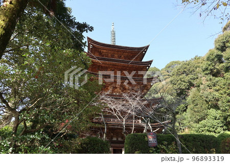 山口瑠璃光寺の紅葉シーズン 96893319