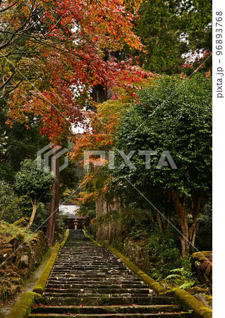 常勝寺の紅葉 96893768