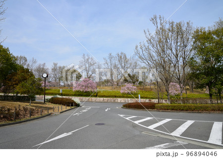 21世紀の森公園に行きました　＃1 96894046