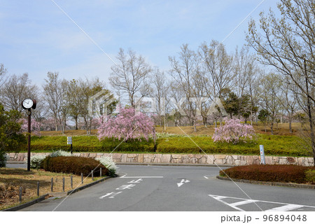 21世紀の森公園に行きました #2 21世紀の森公園に行きました #2 96894048