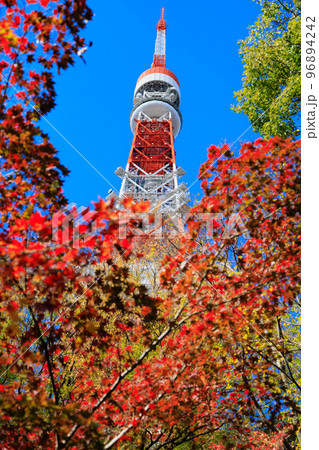 東京　芝公園もみじ谷から見た東京都内の紅葉 96894242