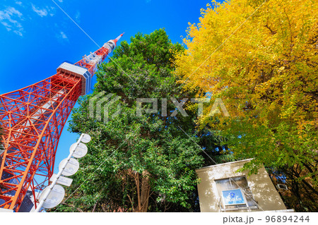 東京　東京タワー前交差点から見た東京都内の紅葉 96894244