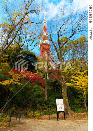 東京 芝公園もみじ谷から見た東京都内の紅葉 東京 芝公園もみじ谷から見た東京都内の紅葉 96894260
