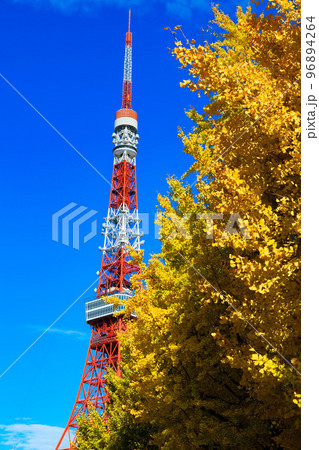 東京 港区立芝公園から見た東京都内の紅葉 東京 港区立芝公園から見た東京都内の紅葉 96894264