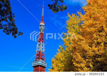 東京 港区立芝公園から見た東京都内の紅葉 東京 港区立芝公園から見た東京都内の紅葉 96894265