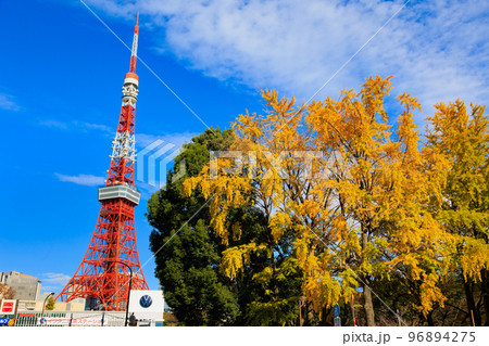 東京　港区立芝公園から見た東京都内の紅葉 96894275
