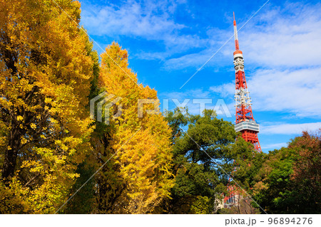 東京　港区立芝公園から見た東京都内の紅葉 96894276