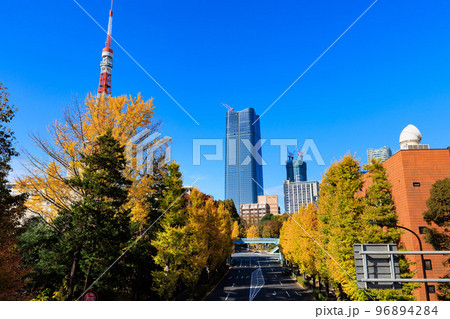 東京　芝公園歩道橋から見た東京都内の紅葉 96894284