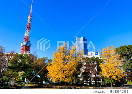 東京　港区芝公園から見た東京都内の紅葉 96894291