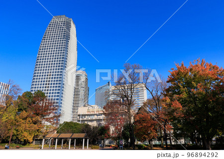 東京　港区芝公園から見た東京都内の紅葉 96894292