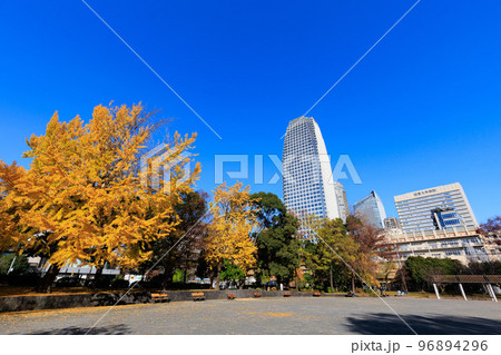東京 港区芝公園から見た東京都内の紅葉 東京 港区芝公園から見た東京都内の紅葉 96894296