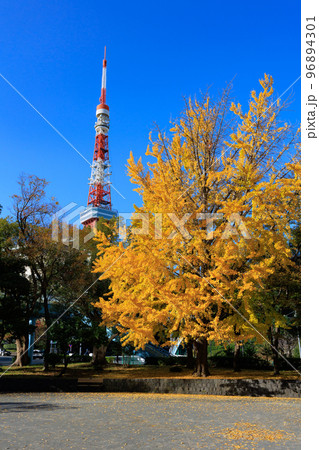 東京　港区芝公園から見た東京都内の紅葉 96894301