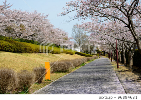 21世紀の森公園に行きました　＃18 96894631