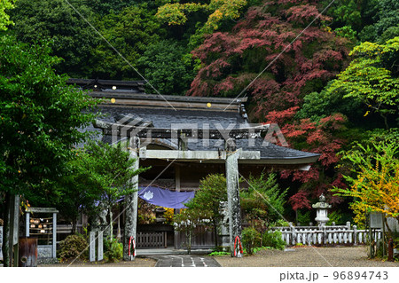 高座神社の紅葉 高座神社の紅葉 96894743
