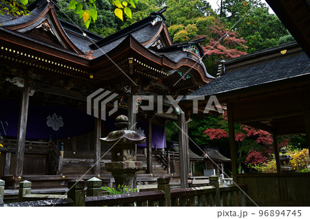 高座神社の紅葉 96894745