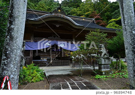 高座神社の紅葉 96894748