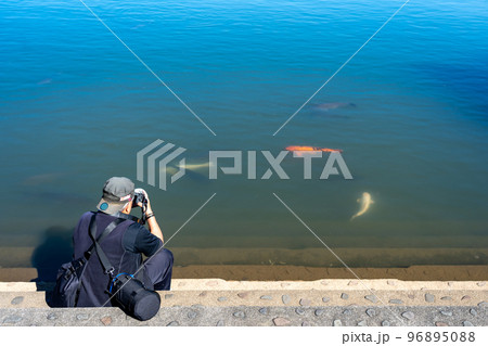 三重県鈴鹿市 秋の鈴鹿青少年の森にある道伯池で写真を撮る高齢男性 三重県鈴鹿市 秋の鈴鹿青少年の森にある道伯池で写真を撮る高齢男性 96895088