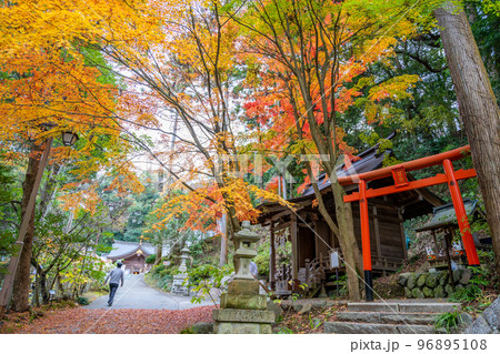 金刀比羅神社(ことひらじんじゃ)紅葉 秋 福島県いわき市 金刀比羅神社(ことひらじんじゃ)紅葉 秋 福島県いわき市 96895108
