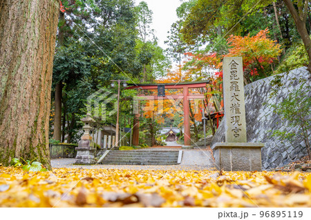 金刀比羅神社（ことひらじんじゃ）鳥居　明治2年に「金毘羅大権現」を改称　紅葉　福島県いわき市 96895119