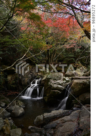 尼ン滝の紅葉 尼ン滝の紅葉 96895272