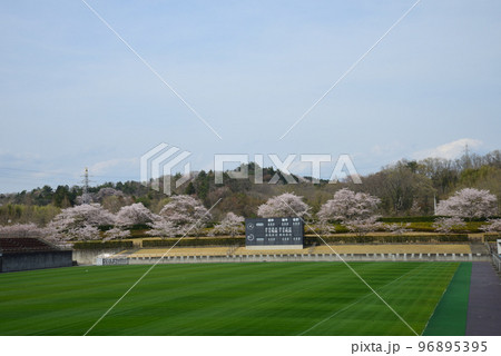 21世紀の森公園に行きました　＃31 96895395