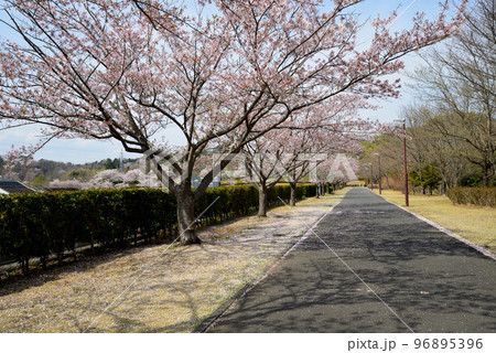 21世紀の森公園に行きました　＃32 96895396