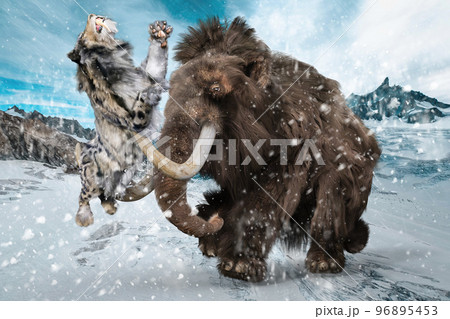 マンモスの牙に刺されるサーベルタイガー マンモスの牙に刺されるサーベルタイガー 96895453