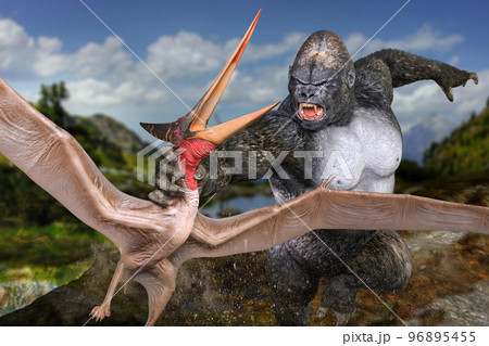 翼竜のプテラノドンを捕獲する巨大なゴリラ 96895455