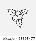 Holly berry icon. 96895477