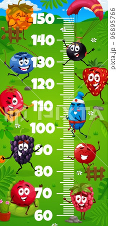 Kids height chart. Cartoon berry characters on summer party. Child height meter, kids growth measure vector scale with raspberry, blueberry and blackcurrant, strawberry, cowberry and honeysuckle Kids height chart. Cartoon berry characters on summer party. Child height meter, kids growth measure vector scale with raspberry, blueberry and blackcurrant, strawberry, cowberry and honeysuckle 96895766